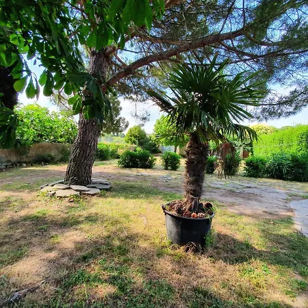 Apartman Les Jardins De La Majore Carcassone
