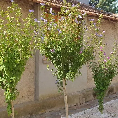 Les Jardins De La Majore * Carcassone
